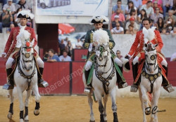 Imagens da corrida do Sobral de Monte Agraço